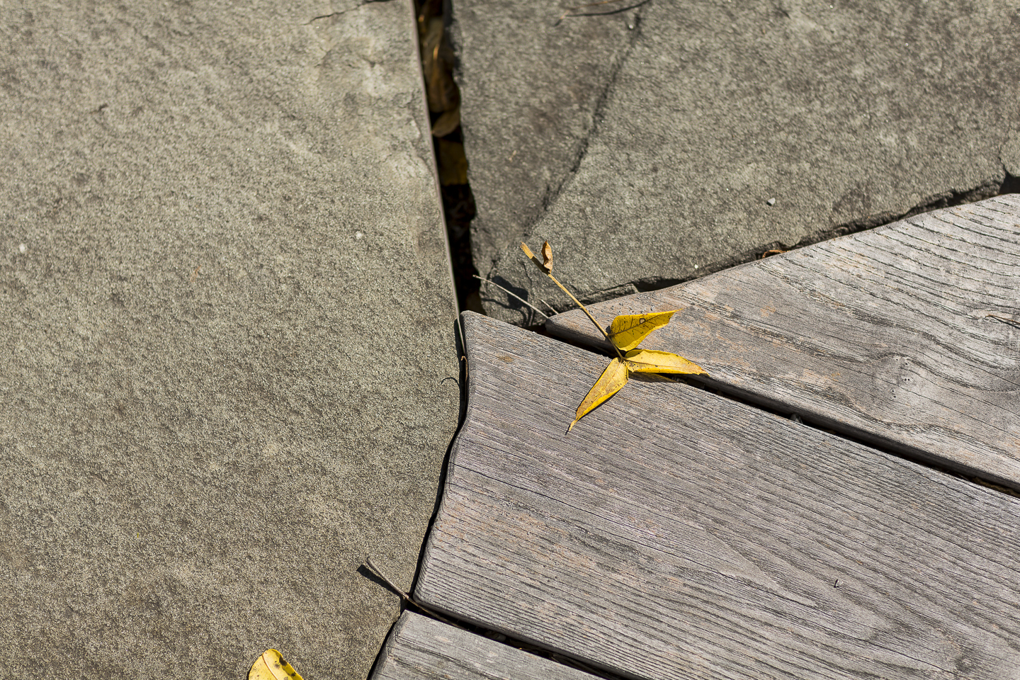 HillsidePoolSitePlan
